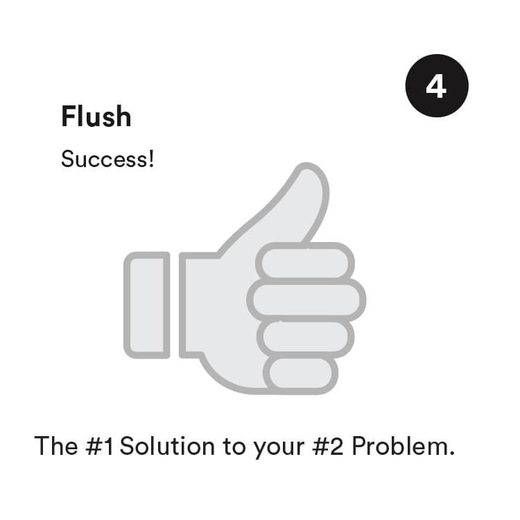 Step 4: thumbs up graphic with Flush and Success headline.